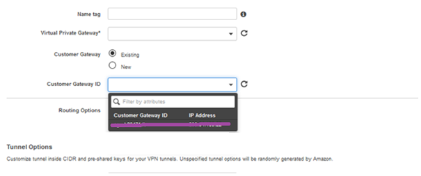 Customer Gateway ID