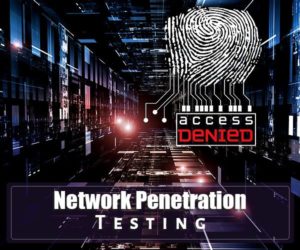 penetration testing Service