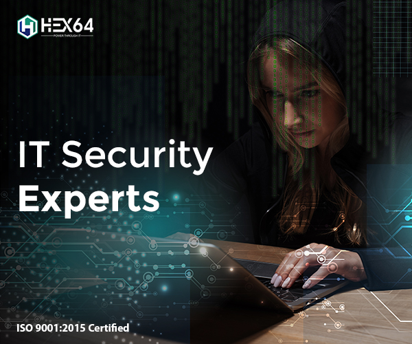 IT-Security-Experts of hex64